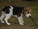 DSC02435.JPG