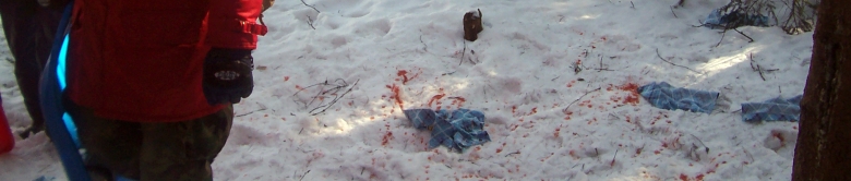 Vlkodlak roztrhal �ern�tka, bylo to hrozn�! Tuhla krev v �il�ch.